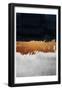 Essential Black