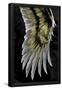 Essential Black