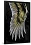 Gramercy Black