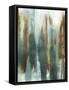 Framed Canvas