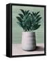 Framed Canvas
