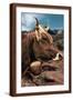 Brown Frame