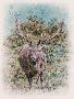 Just the Print