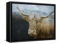 Framed Canvas