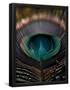 Essential Black