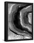 Essential Black