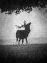 Just the Print