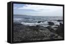 Framed Canvas