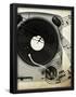 Essential Black