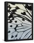 Essential Black
