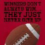 Laminate