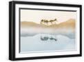 Black Frame