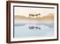 Brown Frame
