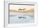 White Frame