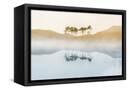 Canvas Black