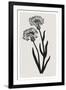 Gramercy Black