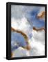Essential Black