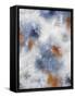 Framed Canvas