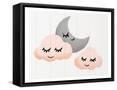 Framed Canvas