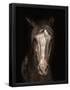 Essential Black