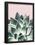 Essential Black