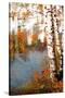 Stretched Canvas