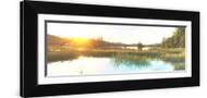 Brown Frame