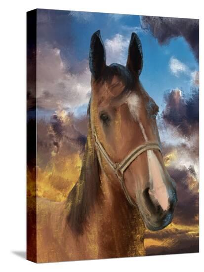 Stretched Canvas Print, , large