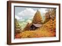 Brown Frame