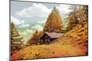 Wood Mount