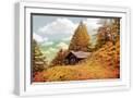White Frame