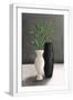 White Frame