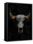Canvas Black