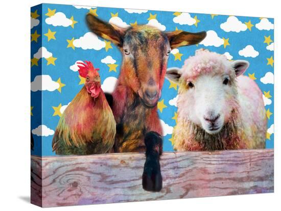Stretched Canvas Print, , large