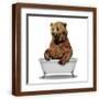 Brown Frame