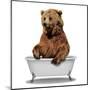 Wood Mount