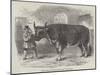 Mardi Gras, at Paris, the Fat Ox Uncle Tom-null-Mounted Giclee Print