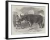 Mardi Gras, at Paris, the Fat Ox Uncle Tom-null-Framed Giclee Print