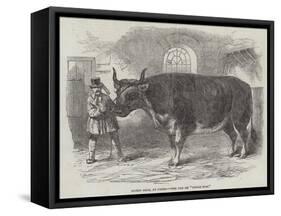 Mardi Gras, at Paris, the Fat Ox Uncle Tom-null-Framed Stretched Canvas