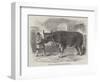 Mardi Gras, at Paris, the Fat Ox Uncle Tom-null-Framed Giclee Print