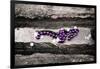 Mardi Gras Beads on Bourbon Street New Orleans-null-Framed Photo