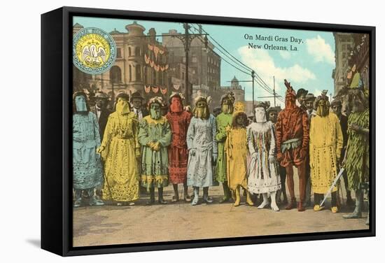 Mardi Gras Costumes, New Orleans, Louisiana-null-Framed Stretched Canvas