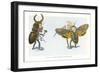 Mardi Gras Costumes-null-Framed Premium Giclee Print