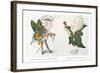 Mardi Gras Costumes-null-Framed Art Print