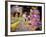 Mardi Gras Devil Float-Carol Highsmith-Framed Photo