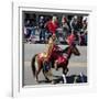 Mardi Gras Horseman-Carol Highsmith-Framed Art Print