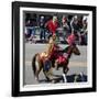 Mardi Gras Horseman-Carol Highsmith-Framed Art Print