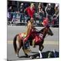 Mardi Gras Horseman-Carol Highsmith-Mounted Art Print