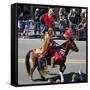 Mardi Gras Horseman-Carol Highsmith-Framed Stretched Canvas