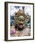 Mardi Gras Krewe-Carol Highsmith-Framed Photo